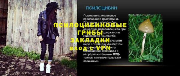 бошки Михайловск